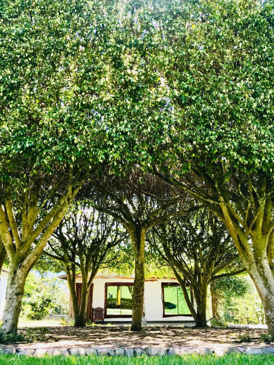Hosteria Tierra Dorada Yantzaza Exterior foto